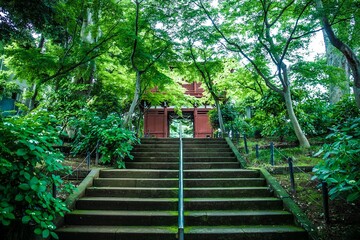 Obraz premium 神社