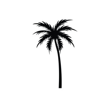 single tree palm vector isolated with background white