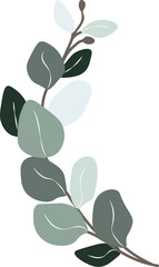 Obraz premium Eucalyptus leaf hand drawn vector