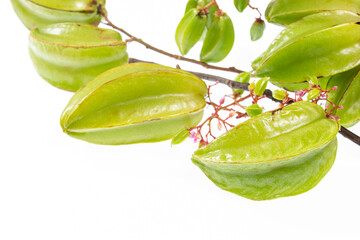 Star fruit or Carambola Green - Averrhoa Carambola; Photo On White Background