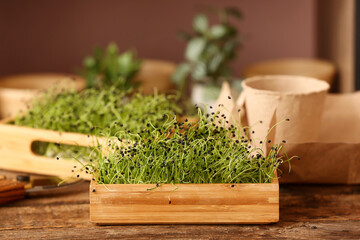 Wooden box with fresh micro green on table
