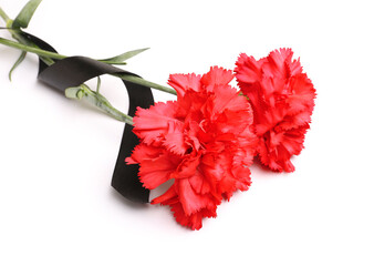 Two red carnations and black ribbon on white background