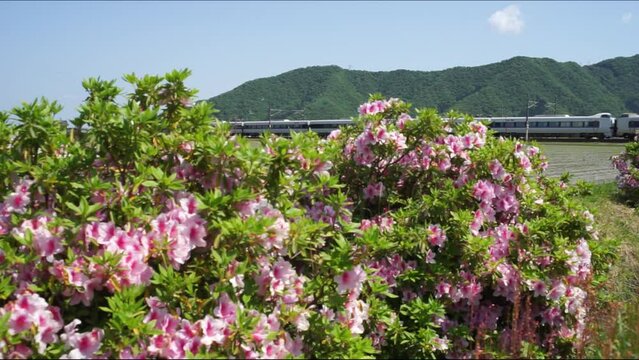 北陸新幹線敦賀延伸前の北陸本線を走る特急サンダーバード （北陸本線 南条 - 王子保, 2023年5月）