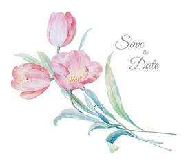 
beautiful watercolor pink tulip illustration