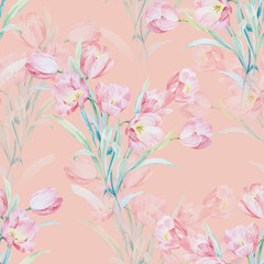 Fototapeta na wymiar beautiful watercolor pink tulip illustration
