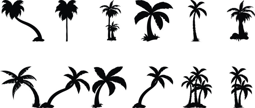 Palm tree silhouette clipart vector