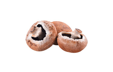Brown champignon mushrooms isolated transparent png