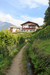 Fototapeta na wymiar Hiking trail Maiser Waalweg next to irrigation channel, grape vines and mountain panorama near Merano, South Tyrol, Italy