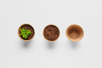 Peat pots with soil and green seedling on white background