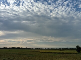 Obraz premium the sky and clouds