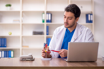 Young male doctor cardiologist working in the clinic