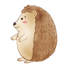 Hedgehog is standing . Watercolor paint design . Cute animal cartoon character . Vector .