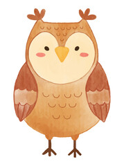 Owl bird . Watercolor paint design . Cute animal cartoon character . Vector .