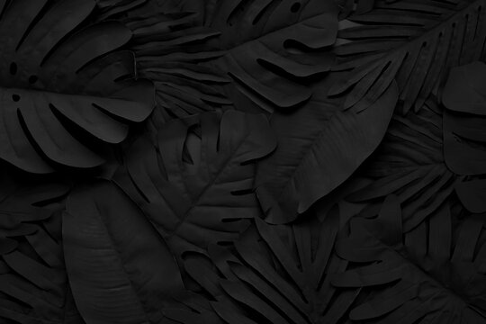 tropical leaf,leaves collection for design with dark color.creative and minimal art nature background.decoration pattern