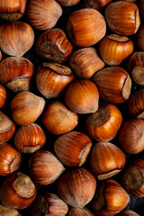 pile of hazelnuts with shells full frame close-up background
