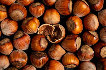 pile of hazelnuts with shells full frame close-up background