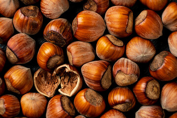 pile of hazelnuts with shells full frame close-up background