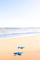Fototapeta na wymiar Blue starfish in the sand a beach with the sea and sky in the background. Tropical paradise.