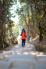 Obraz premium A young traveller trekking on forest trail , Nepal