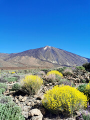 Fototapeta premium view on the Teide - the highest mountain in Spain on the island of Tenerife