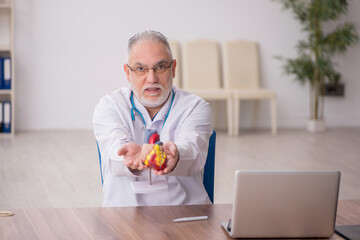 Old male doctor cardiologist working in the clinic