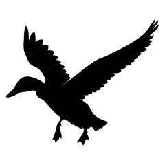 silhouette of a duck