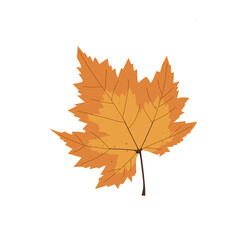Illustration of autumn leaves for an element or more 