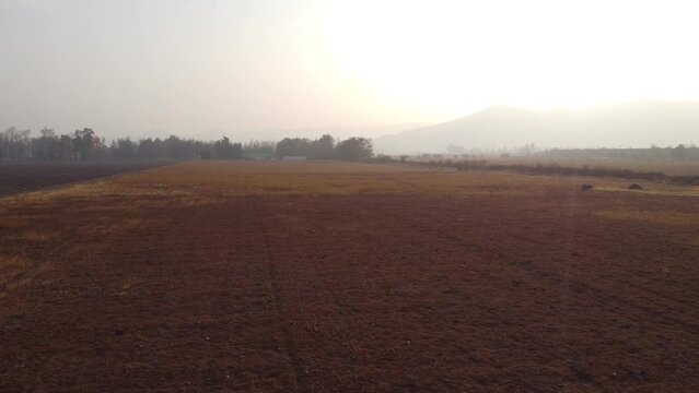 granja, campo