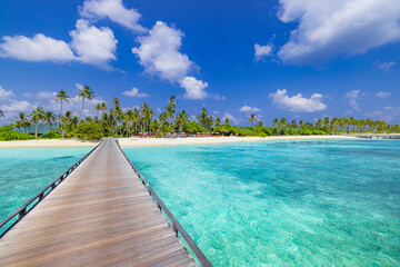 Best travel landscape, beautiful tropical island shore, wooden bridge pier into paradise beach. Palm trees, sunny blue sea sky. Tranquil vacation wallpaper, exotic amazing vacation destination scenic