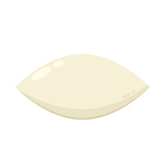 Fish balls on white background. Street Asian food. Vector illustration. Fish balls isolated vector.