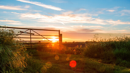 farm gate in the fems