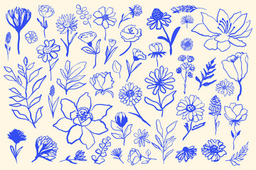 Beautiful illustration with set of various simple flowers vector. Hand drawn flowers minimalistic simple style.