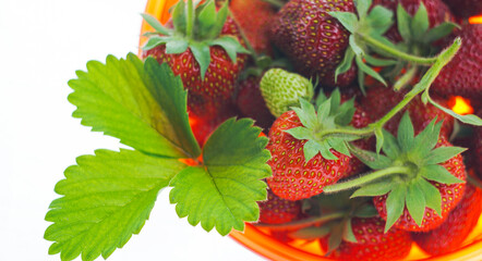 Strawberries in a bowl on a white background