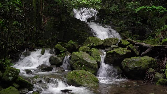 践祚の滝の風景