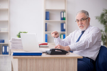 Old male employee working in the office