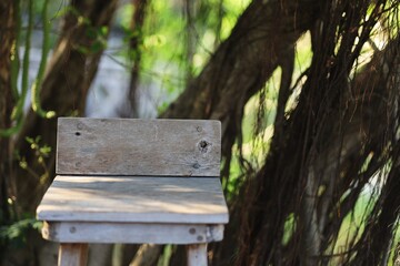 Naklejka premium wooden sign in the forest