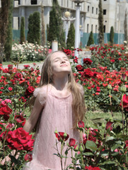 
Little girl among the field of white roses