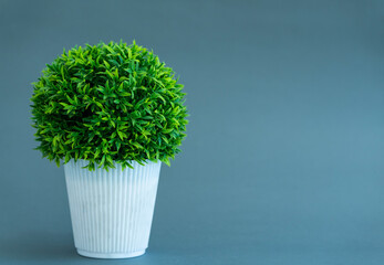 Green artificial plant with copy space for text, Growth concept image