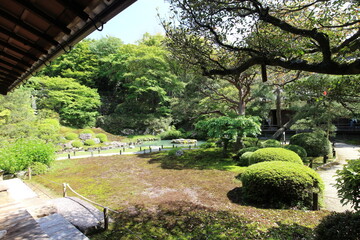 Japanese garden of Shoren-in Temple in Kyoto, Japan