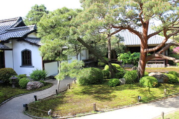 Fototapeta na wymiar Japanese garden of Shoren-in Temple in Kyoto, Japan