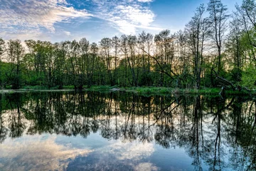 Vlies Fototapete Reflection Spring sunset rural landscape, forest reflected in the lake