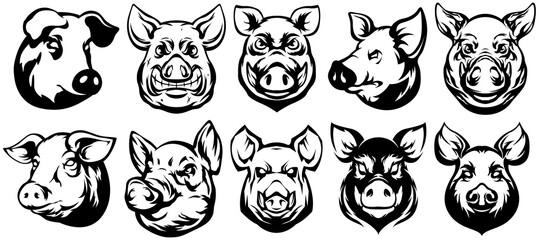 Pig head mascot. Swine Face collection. Hog illustration set.
