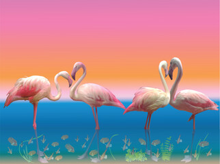 four pink flamingo group in blue water