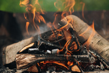 Timber logs ablaze in anticipation of a BBQ