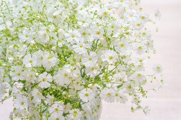 かすみ草(白花大輪かすみ草）の花束