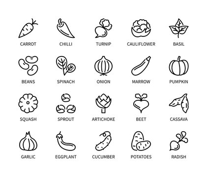 Vegetables, simple set of vector linear icons. Collection of vegetables icons on white background. Vector symbol set of healthy food.