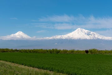 Foto op Canvas Panoramic view of the Ararat mountain © Nikolay