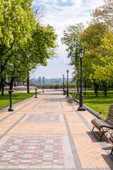 Alley in the park of Kyiv, the month of May.