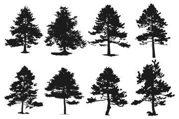Set of silhouettes of realistic Christmas trees, isolated on a white background, for designs, brochures, booklets, posters, silhouette of pine trees of different sizes and shapes
