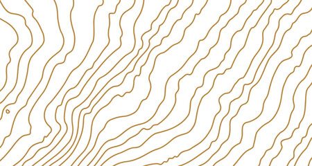 Gold wooden pattern. Wood grain texture. Dense lines. Abstract white background. Vector illustration